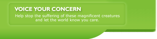 Voice Your Concern